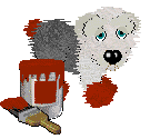 Sheepdog and paint bucket