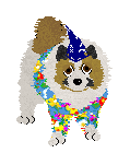 Ruby the German Spitz. She wears a wizard hat, a Hawaiian shirt, and is looking at the viewer.