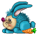 aqua rabbit