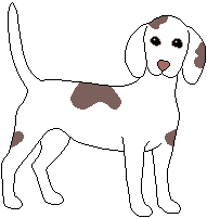 Mutt Lilo wagging tail