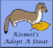 Kismet's Adopt-a-Stoat