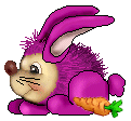 violet rabbit